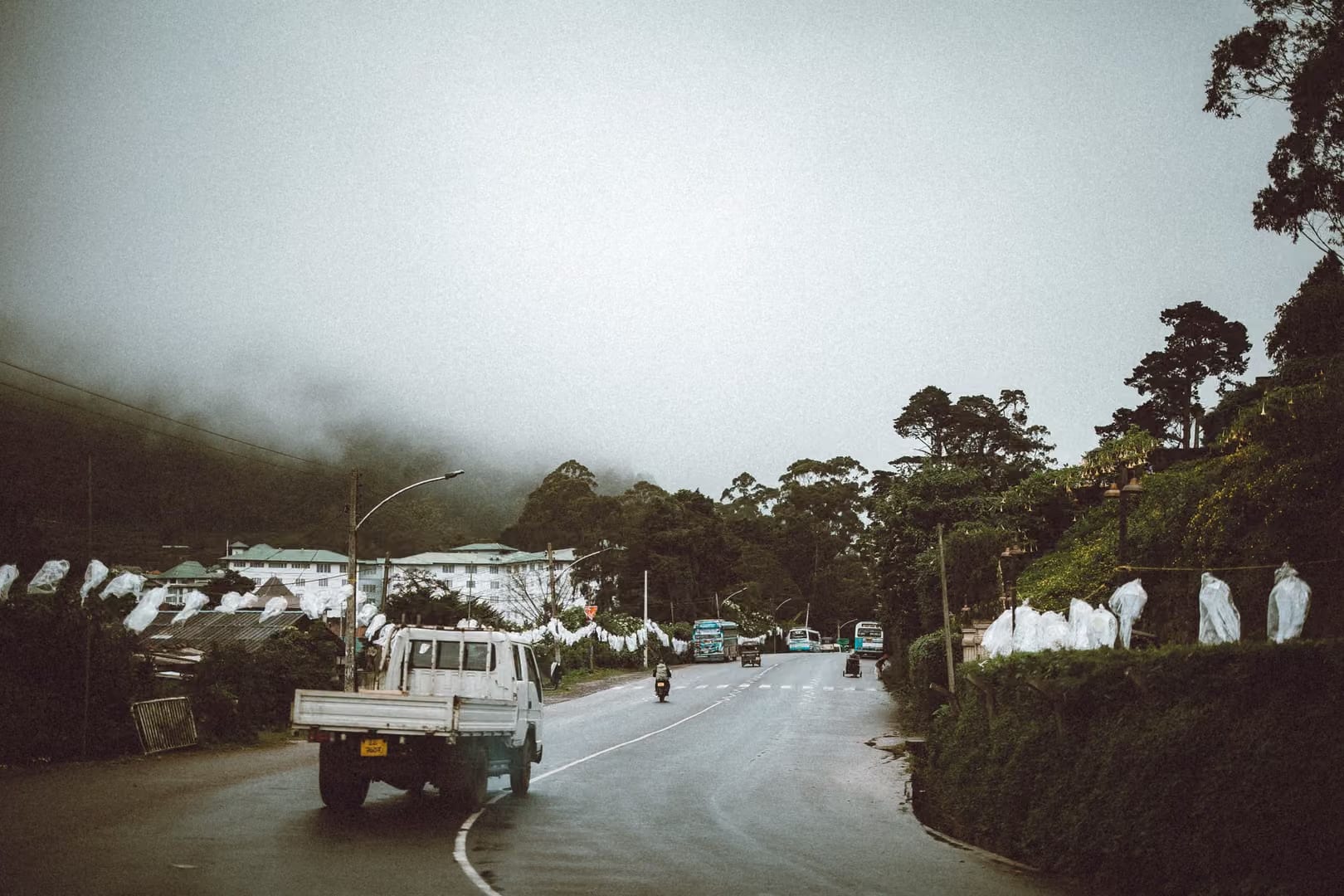 Rolling tea plantations around Dickoya in Sri Lanka's hill country