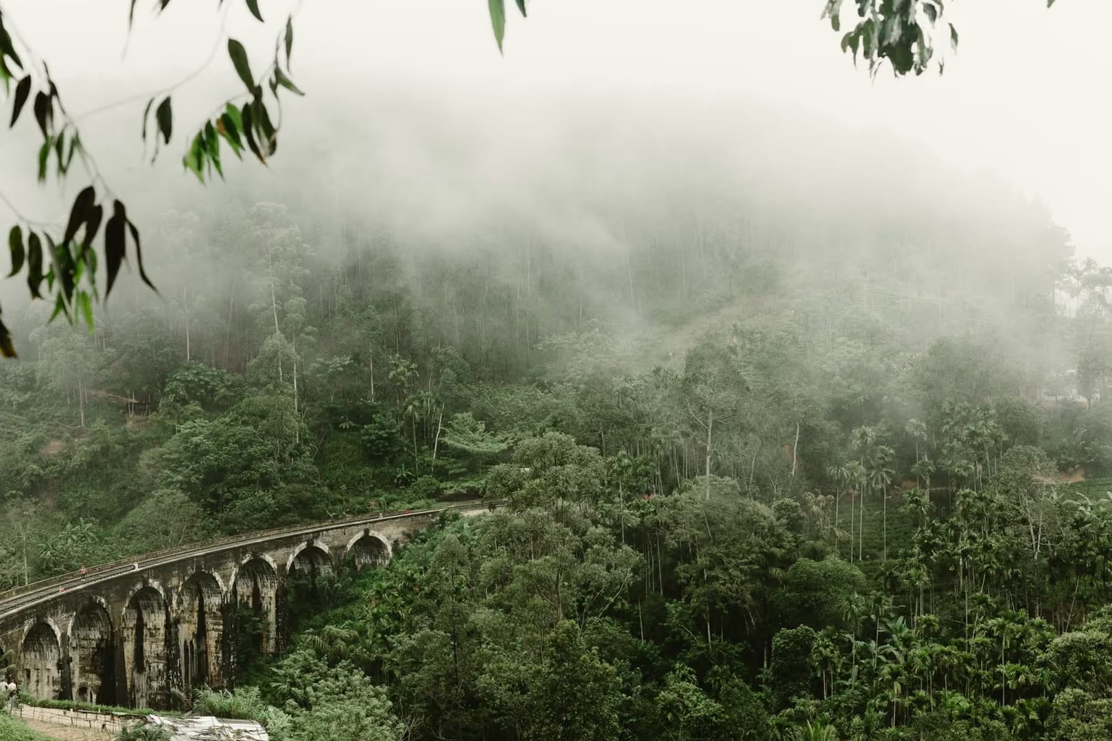 Hill-country vistas around Ella in Sri Lanka's tea highlands
