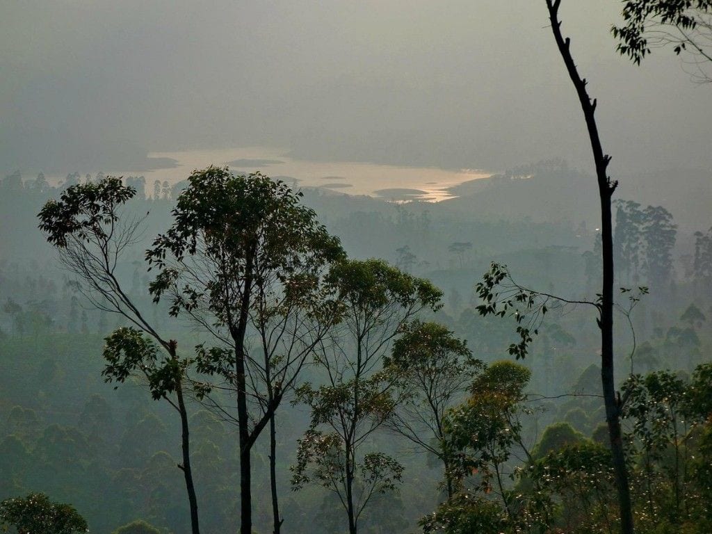 Misty tea-country hills and lake near Hatton in Sri Lanka's central highlands