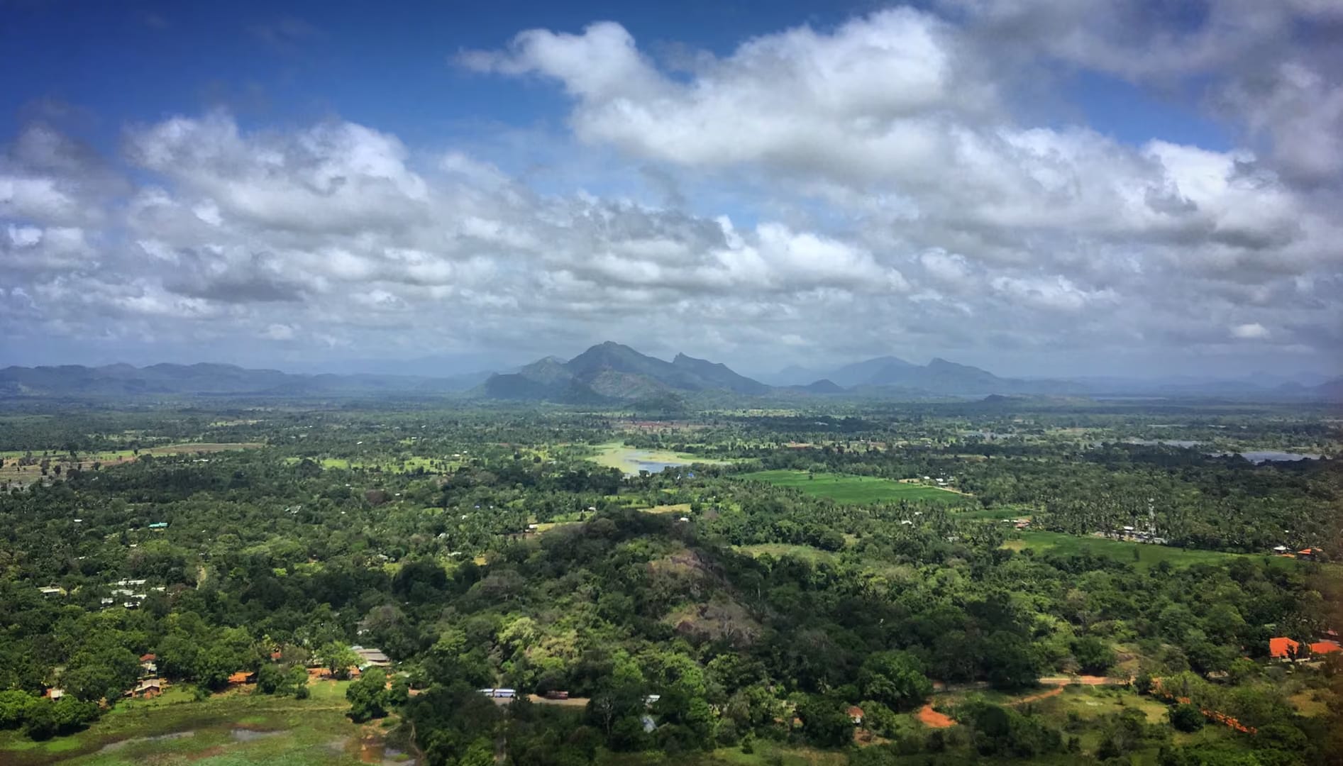 Lush spice-country greenery near Matale on the road to Kandy, Sri Lanka