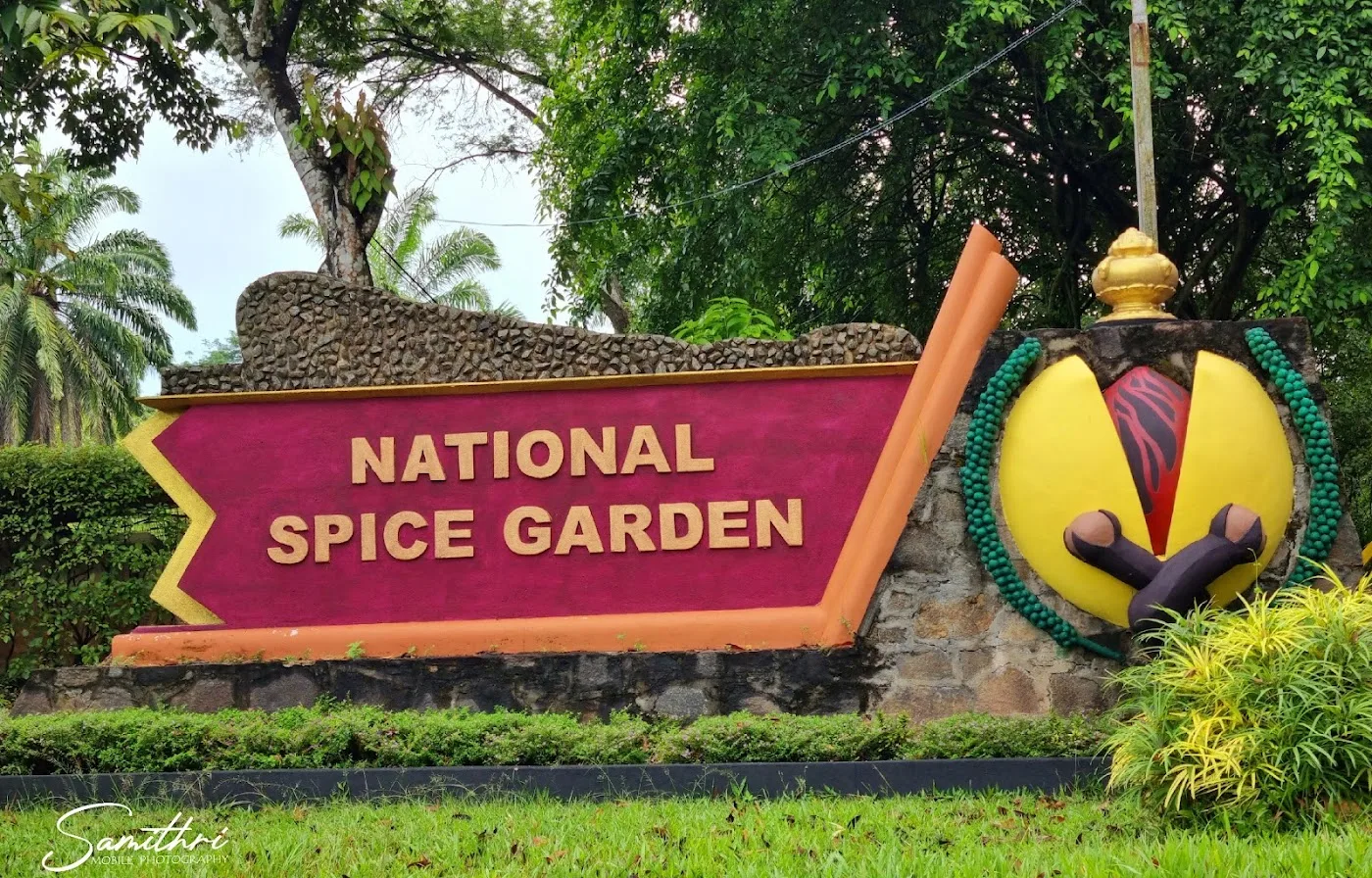 Promenade dans un jardin d'épices ayurvédique