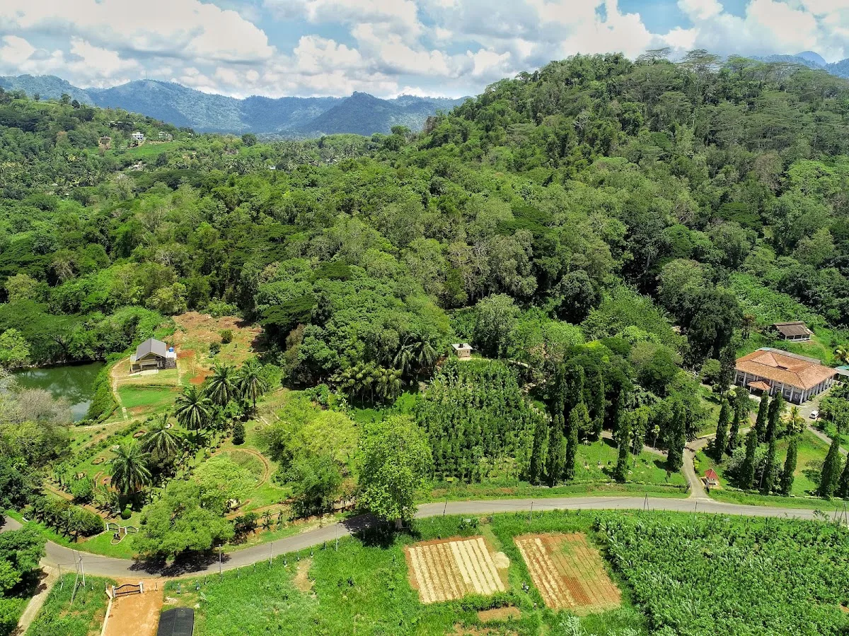 Promenade dans un jardin d'épices ayurvédique