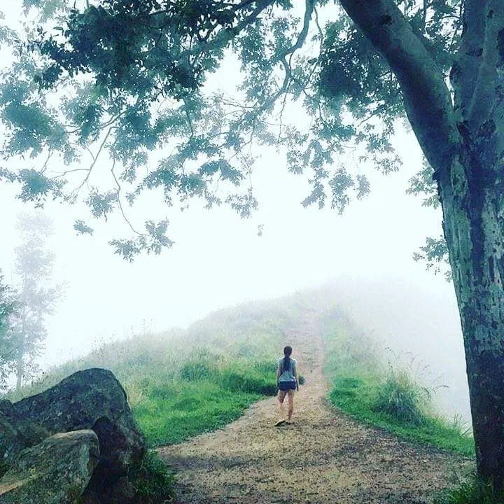 Horton Plains et World's End