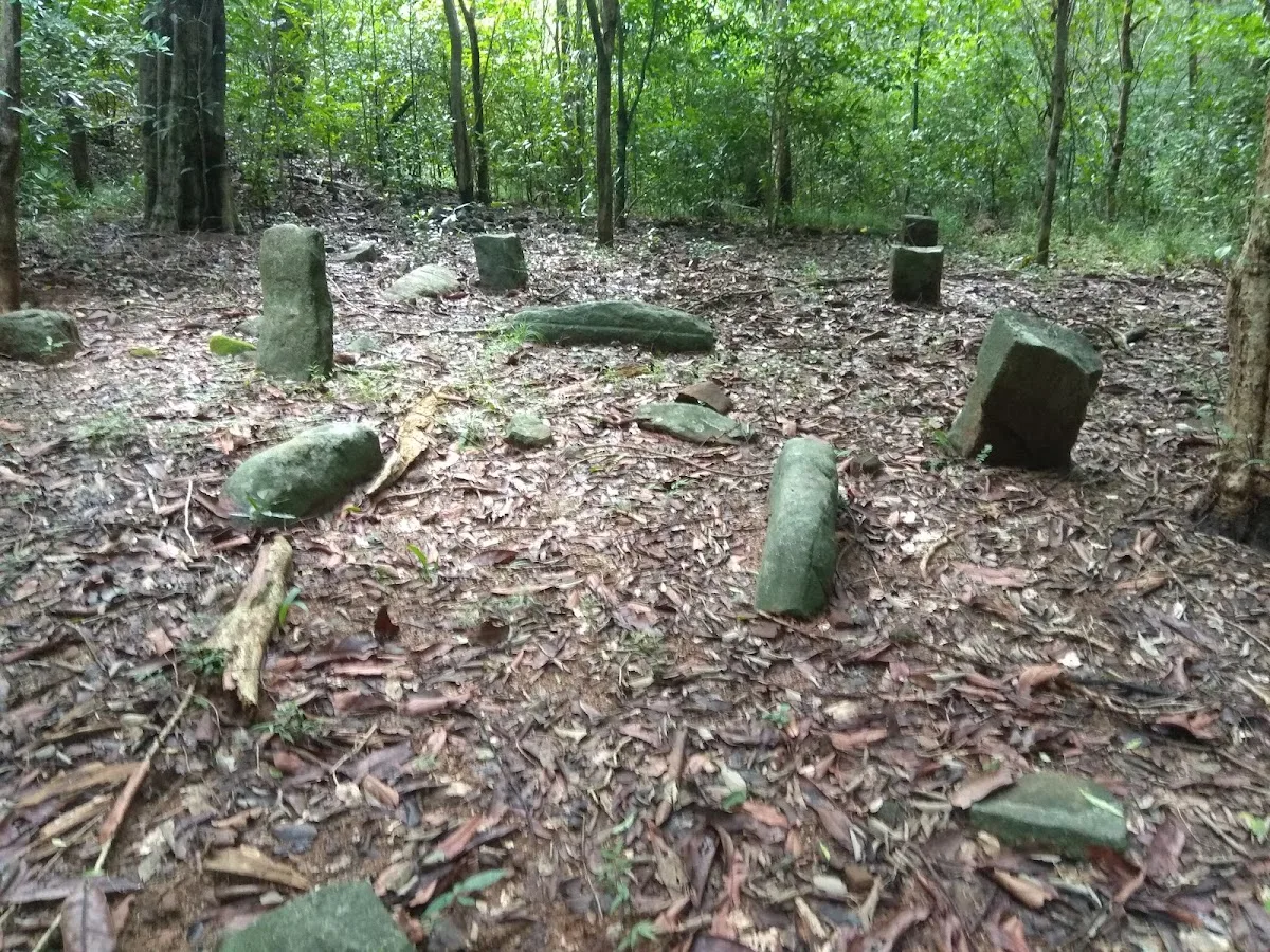Forêt archéologique de Kaludiya Pokuna
