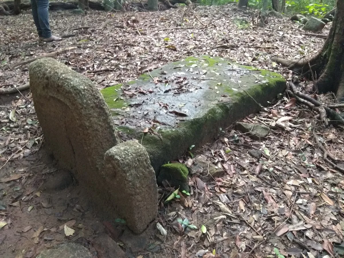 Forêt archéologique de Kaludiya Pokuna