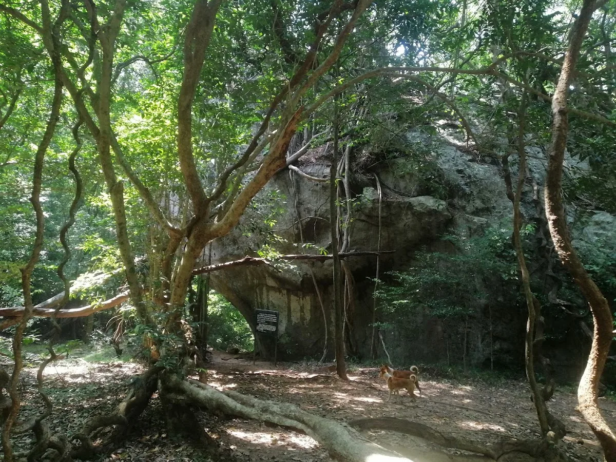 Forêt archéologique de Kaludiya Pokuna