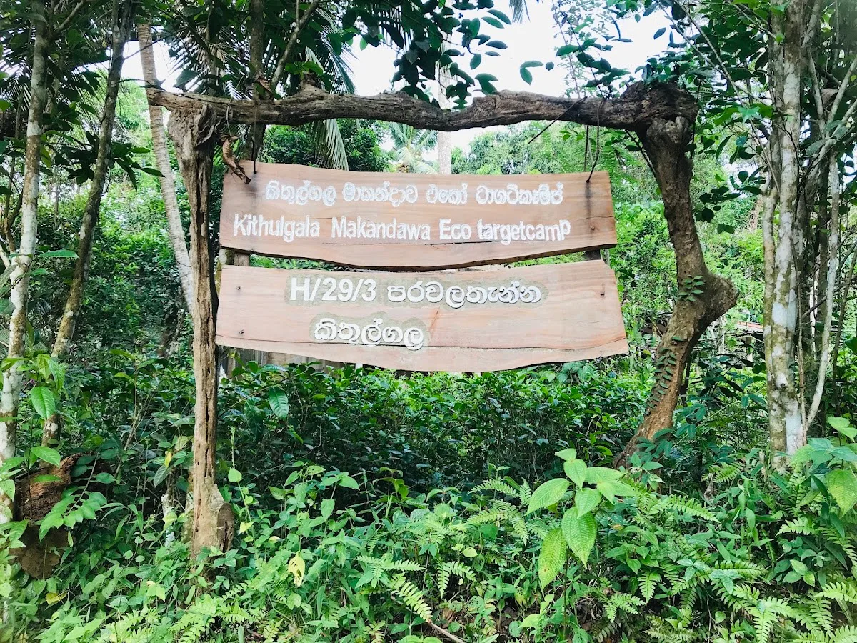 Randonnée en forêt de Makandawa
