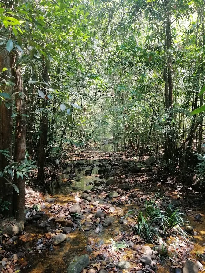 Randonnée en forêt de Makandawa