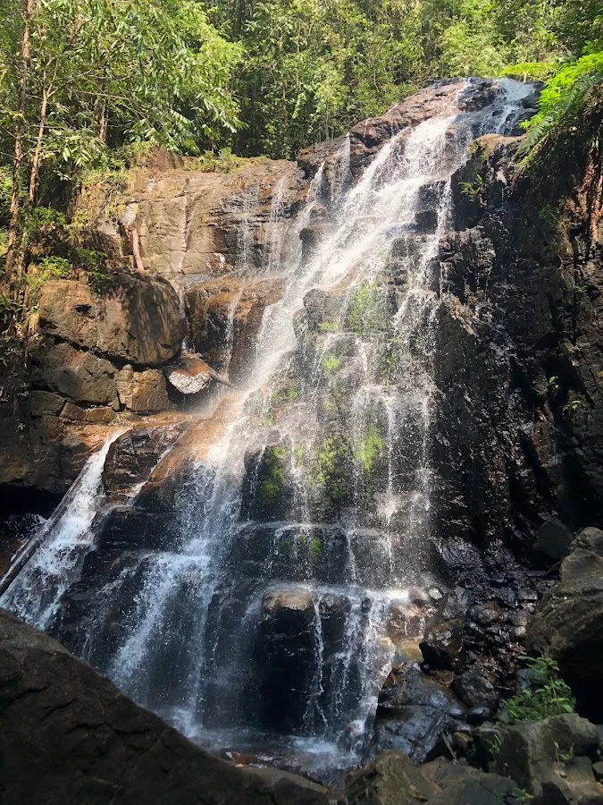 Randonnée en forêt de Makandawa
