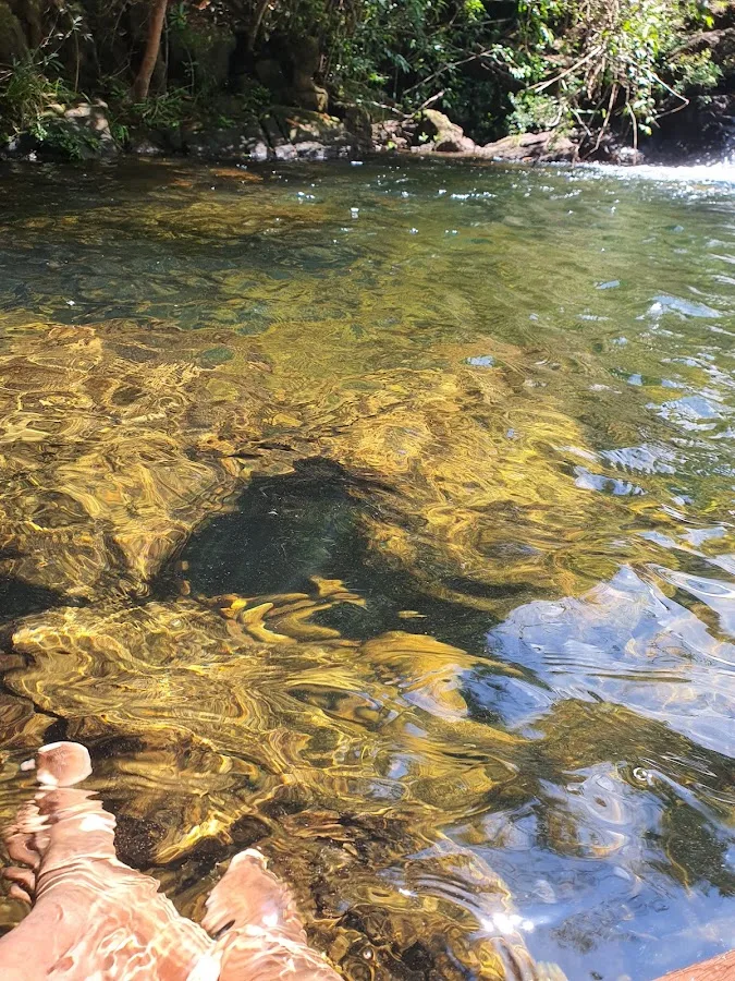 Randonnée en forêt de Makandawa