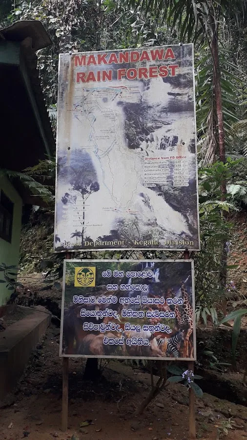 Randonnée en forêt de Makandawa