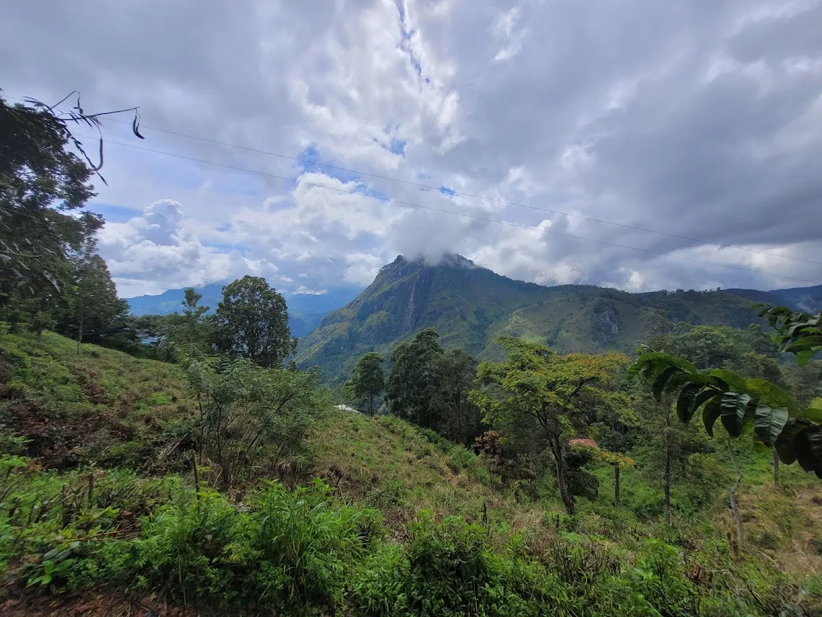 Little Adam's Peak à l'aube