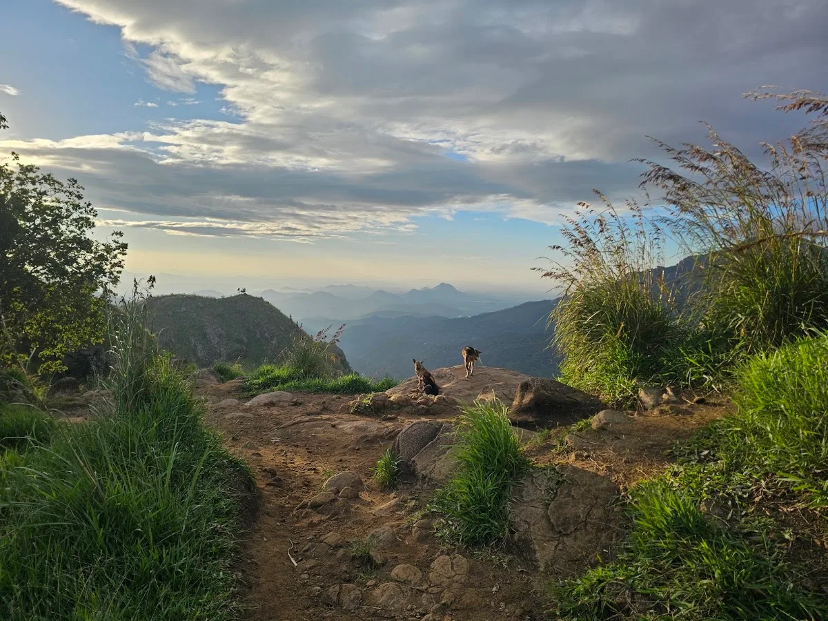 Little Adam's Peak à l'aube