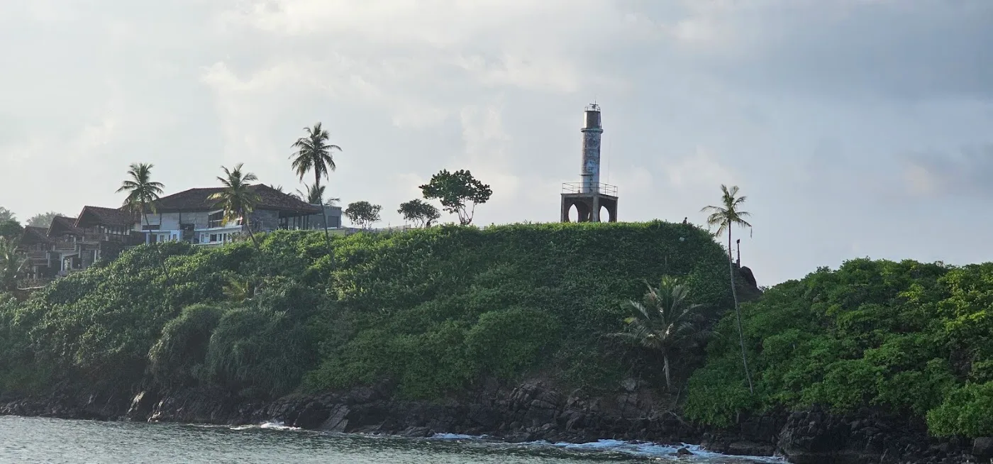 Observation des baleines à Mirissa