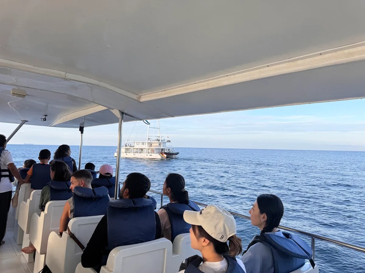 Observation des baleines à Mirissa