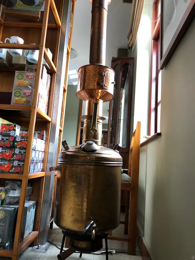 Matin silencieux au pays du thé