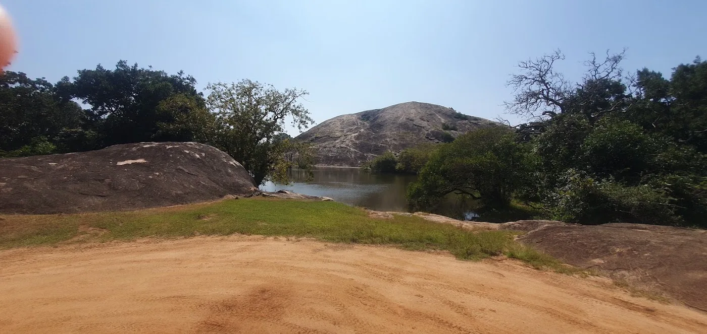 Safari journée complète à Yala