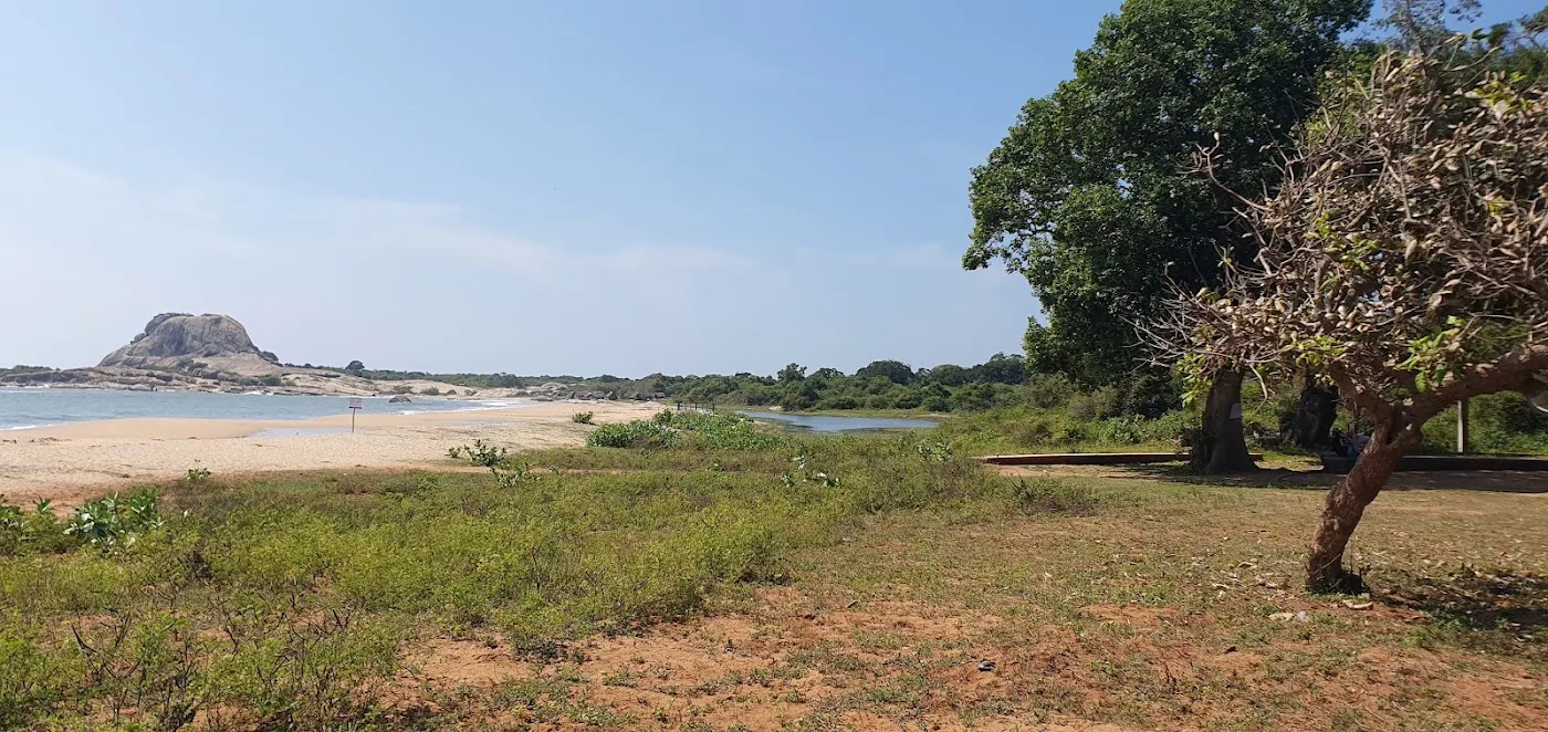 Safari journée complète à Yala